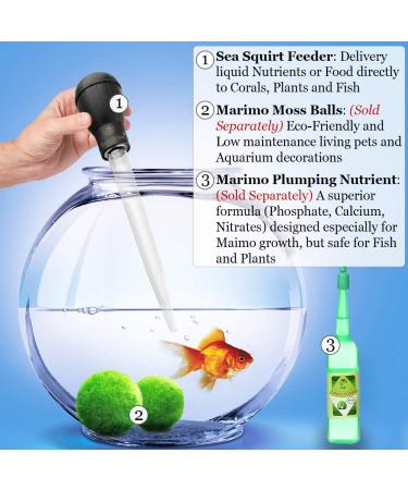 SunGrow Squirt Feeder 17.7 Coral Feeder with Extension Tube - Dosage Tool for Delicate Species - Buy Online on GoSupps.com