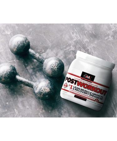 Advanced Molecular Labs - Postworkout Powder Post Workout Recovery Drink Muscle Builder Post Workout Supplement Mixed Berry 12.3 oz Fruit Punch 12.3 Ounce (Pack of 1) - Buy Online on GoSupps.com
