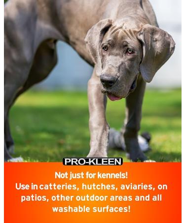 Pro-Kleen Kennel Disinfectant Cleaner & Deodoriser (Cherry Fragrance) - 5L Pack - Tested according to DVG (German Veterinary Medical Society) 5 l (Pack of 1) - Buy Online on GoSupps.com