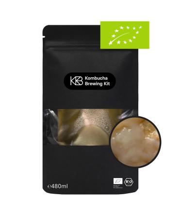 Kombucha XL Bio Scoby very active starter culture with Kombucha mushroom from 100% organic tea guarantee of success for the production of 2.4 - 4.8 l Kombucha handmade vegan gluten -free lactose free 480 ml 480 ml (1 Pack)