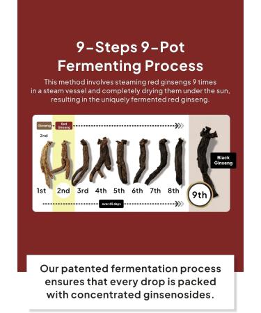 Korean Food Red Ginseng Drink with Siberian Chaga 9-Steamed 9-Dried Ginseng Vegan-Friendly 15 Cans 180ml (6.08 fl oz) Naturecell - Buy Online on GoSupps.com