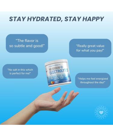 The Good Intentions Club Low Sodium Electrolytes - 60 Servings - Strawberry Lemonade - Sugar Free Electrolytes Powder - Electrolytes Without Sodium - Low Sodium Electrolyte Powder - Buy Online on GoSupps.com