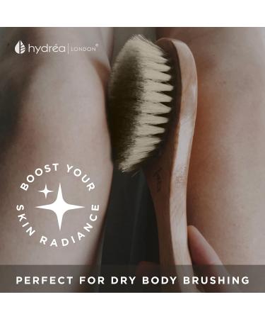 Hydrea London Premium Cactus Bristle Dry Body Brush - Exfoliating Vegan Dry Brush for Cellulite Removal and Lymphatic Drainage - FSC Certified Beechwood - Buy Online on GoSupps.com