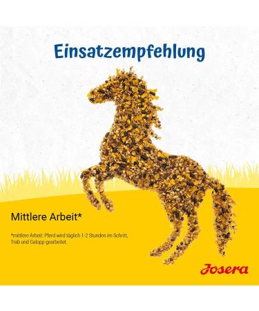 JOSERA Active 2.0 15 kg | Premium Horse Food Rich in Minerals and Vitamins | Energy Muesli with Vitamin E Biotin Selenium a - Buy Online on GoSupps.com