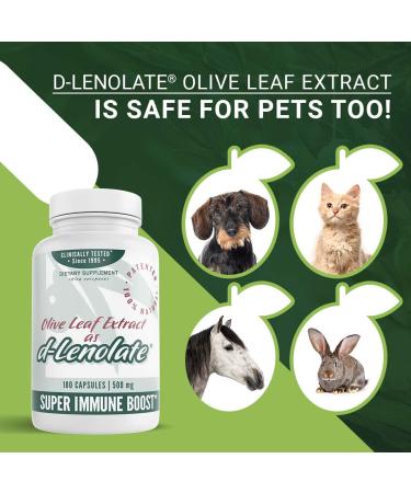 East Park Olive Leaf Extract 500mg Super Strength d-Lenolate | Immune System Booster with 18% Oleuropein | 180 Vegetarian Capsules (Non-GMO) - Buy Online on GoSupps.com