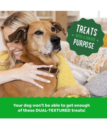 Greenies Smartbites Dog Treats Immune Support Chicken Flavour 227g Pouch - Buy Online on GoSupps.com