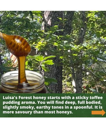 Luisa s Raw Certified Organic FOREST HONEY ACTIVE 17 |Antibacterial |Unpasteurised |Single Origin |The Raw Honey Shop |(5kg) - Buy Online on GoSupps.com