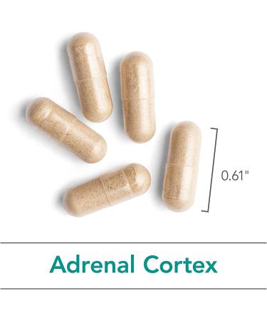 Nutricology Adrenal Cortex Natural Glandular - 100 Vegicaps for Enhanced Wellness | Buy Now! - Buy Online on GoSupps.com