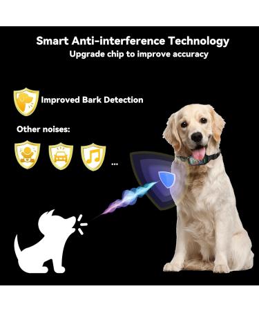 Beoankit Anti Bark Collar for Dogs - Dual Vibration, 5 Sensitivity Levels, 3 Modes - Grey - Buy Online on GoSupps.com