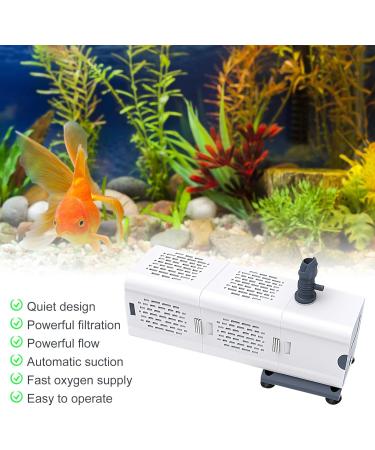 Shop High-Quality 60L Aquarium Interior Filters & Pumps | Best Filters for Aquariums & Shrimp Tanks - International Shipping Available - Buy Online on GoSupps.com