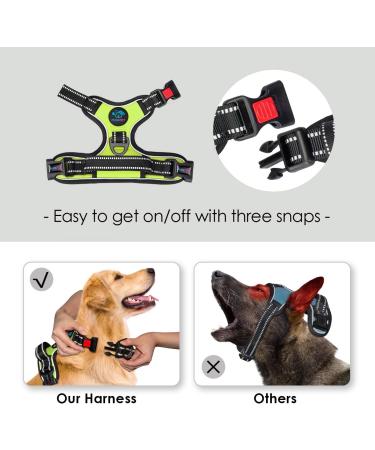 Phoepet Reflective Adjustable Dog Harness with Training Handle & ID Card - XS Green | Anti-Educational Easy Tightening - Buy Online on GoSupps.com