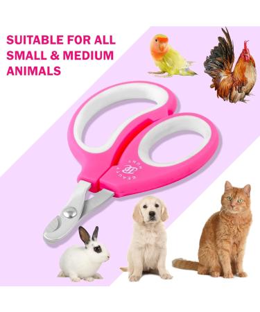 BeautyHunt Cat Nail Clippers | Small Animals Claw Trimmers | Stainless Steel Scissors for Kittens, Puppies, Rabbits, Birds, Tiny Dogs, Gerbils, Hamsters | 10cm Pink - Small Breeds - Buy Online on GoSupps.com