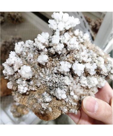 Natural Rough Crystalline Crystal Stone Zeolite Quartz Apophyllite Raw Rock Decorations Specimens Collection Bulk (Size : 600-750g) - Buy Online on GoSupps.com