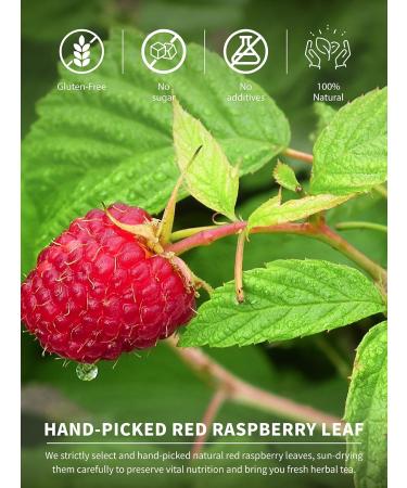  TeeLux TeeLux Pack of 60 Raspberry Leaf Tea Bags Pure Natural Raspberry Leaves Caffeine Free Herbal Tea Bags - Buy Online on GoSupps.com