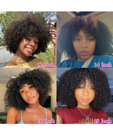 Eyelissom Afro Kinky Curly Wig 14 Brazilian Virgin Human Hair 200% Density Full Machine Made Scalp Base Wig for Black Women - Buy Online on GoSupps.com