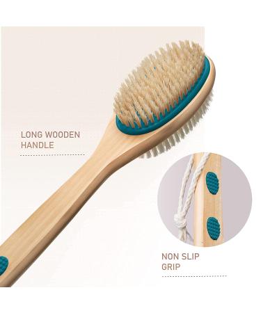 MainBasics Dual-Sided Bath Shower Brush - Long Handle Back Scrubber & Body Exfoliator in Teal - Buy Online on GoSupps.com