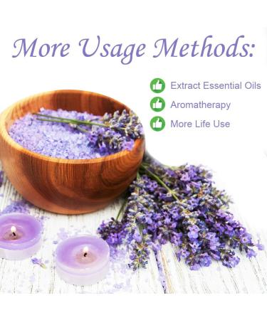 Plant Gift Dried Lavender Flowers 40G/1.41oz - Premium Grade. Perfect for Tea Lavender Tea Baking Baths. Fresh Fragrance. Gluten-Free Non-GMO - Buy Online on GoSupps.com