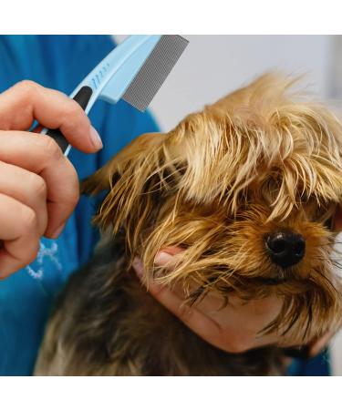 Flea Comb 2Pcs Flea Comb for Cat Dog Fine Teeth Lice Combs Metal Head Comb Tear Stain Remover Combs Pet Grooming Comb for Dogs Cats Small Pets - Buy Online on GoSupps.com