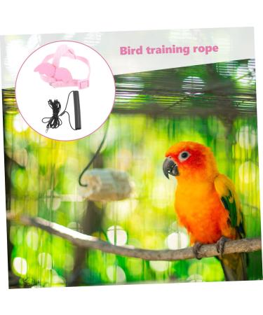 BESPORTBLE 5 Sets Bird Leash Bird Harness Vest Bird Flying Harness Conure Harness Elastic Cotton Pink 12X6X1.3CMx5pcs Pinkx5pcs - Buy Online on GoSupps.com