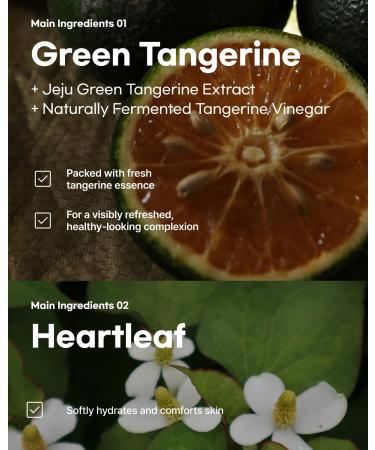 ClearDea Green Tangerine Dual Peeling Pad Korean Exfoliating Toner Pads with 4HA Complex Jeju Citrus Vinegar Oil Control Dual-Sided Texture Hydrating & Smoothing 50 Pads - Buy Online on GoSupps.com