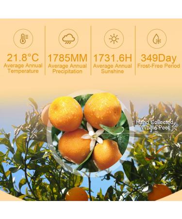 Buy Tangerine Peel Tea 80g - Dried Orange Peel Herbal Tea Rich in Antioxidants & Vitamin C | International Shipping - Buy Online on GoSupps.com