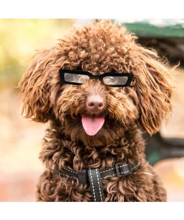 Shop PopetPop Transparent Glasses for Dogs & Puppies - Portable Sunglasses Fun Outfits & Cosplay Accessories - Buy Online on GoSupps.com