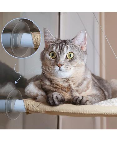 8 Pcs Cat Window Hammock Replacement Suction Cups - Pet Supplies | Vivid Style - Buy Online on GoSupps.com