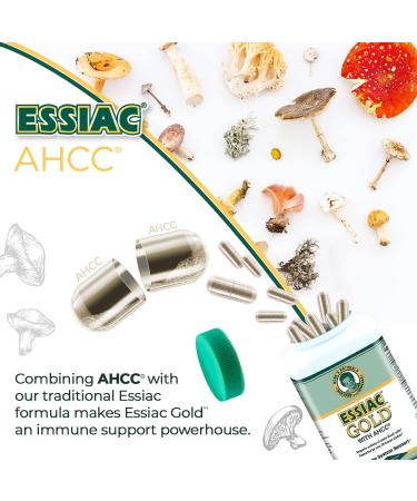 Essiac Gold Extract with AHCC Supplement - Immune Support & Antioxidant Blend - 60 Capsules - Buy Online on GoSupps.com