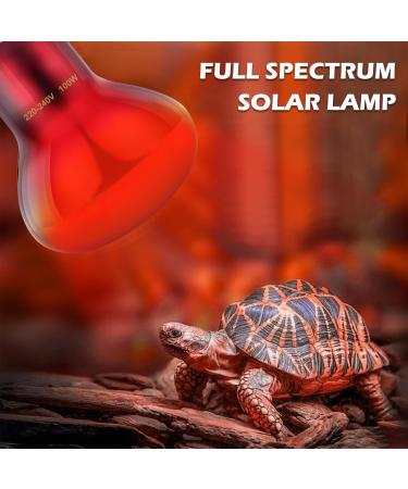 100W Red Light Lamp for Reptiles - E27 Heat Lamps for Turtles Snakes Bearded Dragons & More | 4-Pack Terrarium Heat Bulbs - Buy Online on GoSupps.com