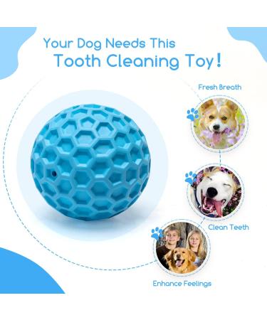 Indestructible Nobleza Dog Ball - Natural Rubber Squeaky Interactive Toy | Robust 5.5cm Dog Ball for Hours of Fun - Buy Online on GoSupps.com