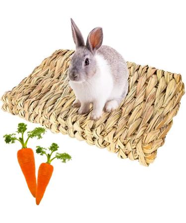 Roadloo Small Pet Grass Mat - 4 Edible Natural Grass Mats for Rabbits Guinea Pigs Rats Parrots & Ferrets | Safe & Fun Animal Toy - Buy Online on GoSupps.com