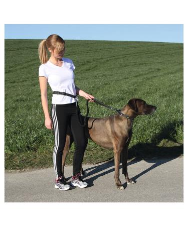 Kerbl 81181 Jogging Leash Active with Hip Belt - Ideal for Hands-Free Dog Exercise | International Shipping Available - Buy Online on GoSupps.com