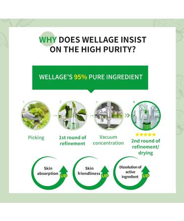 Wellage Cica Calming Cream 2.7oz | Soothing Face Moisturizer with Madecassoside for Sensitive Skin Anti-Redness & Anti-Scaling - Buy Internationally - Buy Online on GoSupps.com