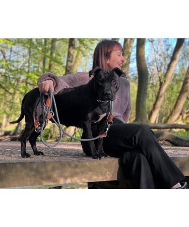 Leitengr n Dog Leash for Big Dogs | 3M Adjustable with 2 Carabiners | Lightweight 300g | Devon Model | Gray Pigeon Gray - 3m x 1.1cm - Buy Online on GoSupps.com