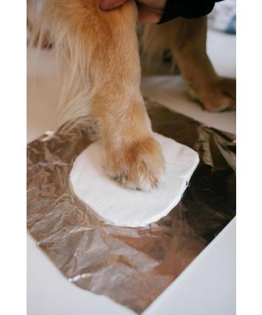 Pearhead Pet Paw Print Photo Frame - DIY No Mess Keepsake Kit for Cats & Dogs | Ideal Memorial Gift in Distressed Gray - Buy Online on GoSupps.com