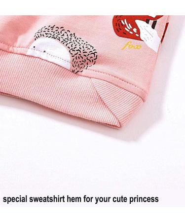 Girls Cotton Sweatshirt | Long Sleeve Pullover for Toddler Girls | Pink | Ages 1-12 Years - Buy Online on GoSupps.com