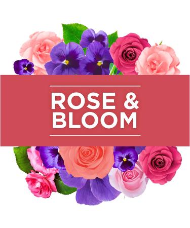 Glade PlugIns Rose & Bloom Air Freshener Refills - 5 Count Pack, 3.35 Fl Oz - Scented Essential Oils for Home & Bathroom - Buy Online on GoSupps.com