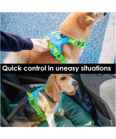 Phoepet No Pull Dog Harness - Reflective Vest with Soft Training Handle for All Sizes - Blue & Green XL - Buy Online on GoSupps.com