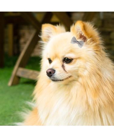 Hayaww 5 Pcs Dog Hair Needles & Clips - Grey Pet Hair Accessories for Small Dogs & Cats - Buy Online on GoSupps.com