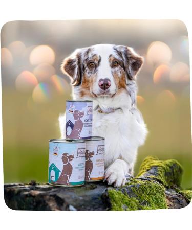 Mjamjam Premium Wet Dog Food - Pure Turkey Delight (6 x 400g) - Natural Meat Treats for Dogs - Buy Online on GoSupps.com
