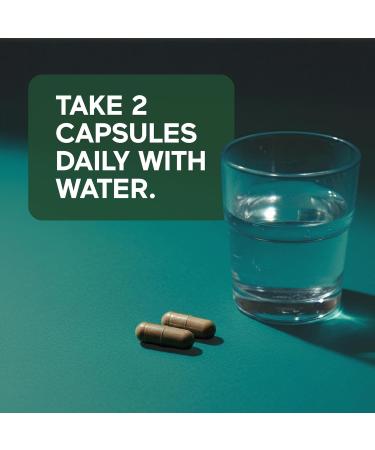 SMARTERNUTRITION Sea Moss Multimineral with Irish Sea Moss with Ashwagandha Bladderwrack Turmeric Zinc Vitamin C Elderberry Dandelion - Non-GMO, USA Manufactured - 60 Capsules 30 Day Supply  - Buy Online on GoSupps.com