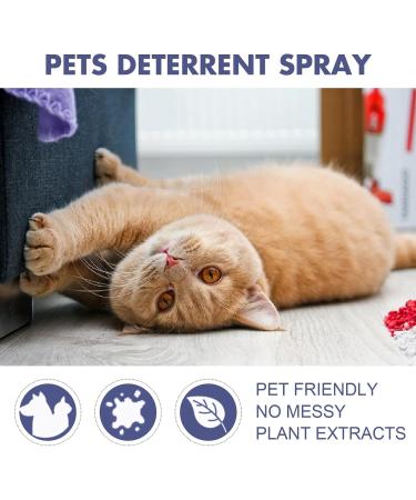 MRGIINRI Cat Wall Bed 50mlCat Spray Training Aid For Cat Scratch Furniture Protector Keep Pet Off Indoor Outdoor Use Cat Devices Indoor (A One Size) - Buy Online on GoSupps.com
