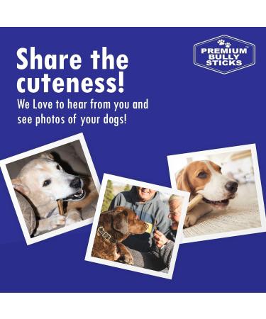 Premium Bully Sticks for Dogs - All Natural Odor Grass Fed Long Lasting Dog Chew Treats - No Artificial Flavor or Preservatives - Extra-Large Single Ingredient Beef Pizzle (12 inch Pack of 2) 1 count (Pack of 2) - Buy Online on GoSupps.com