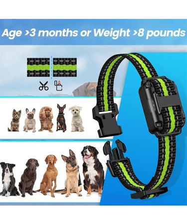 New Classic Dog Collars - Nylon Waterproof & Breathable Perfect for All Sizes | Shop Now! - Buy Online on GoSupps.com