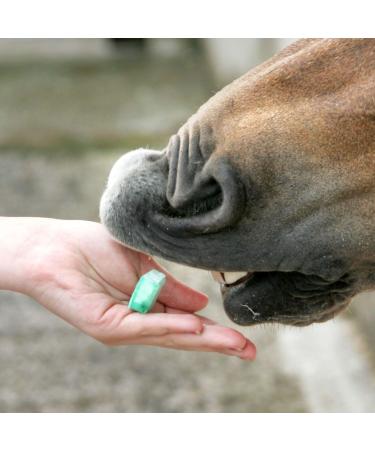 Likit - Horse Treat Bar Assorted Flavours x Size: 24 Pack - Buy Online on GoSupps.com