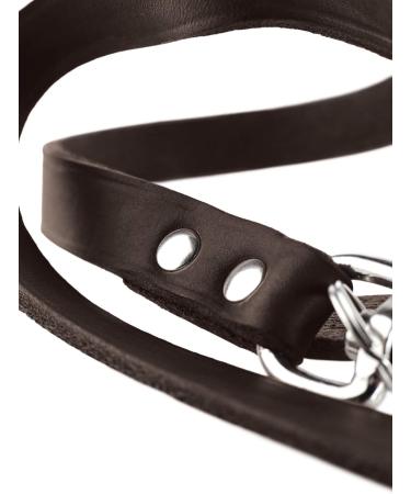 HUNTER Adjustable Leather Dog Leash - Durable & Supple 2.0x200 cm in Dark Brown - International Shipping Available - Buy Online on GoSupps.com