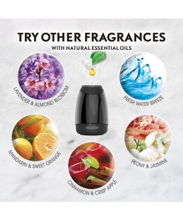 Air Wick Essential Oils Diffuser Mist Refill - Cinnamon & Crisp Apple | 1ct Air Freshener | International Shipping Available - Buy Online on GoSupps.com