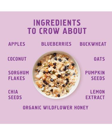 Seven Sundays Muesli - Blueberry Chia Buckwheat 12 oz. pouches 6 Count - Non-GMO Certified Gluten Free Hot or Cold Breakfast Muesli - Buy Online on GoSupps.com