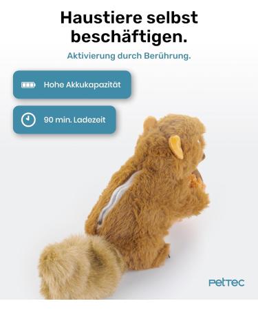 Buy Pettec Interactive Cat Toys - Electric Movable Squirrel with Catnip | Automatic Self-Employment Toy for Cats - Buy Online on GoSupps.com