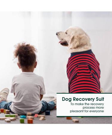 Kuoser Dog Recovery Suit for Male Dogs - Post-Op Body for Castration - Breathable & Leak-Proof - Anti-Lick Dog Shirt - Red Stripe Size M (1 Pack) - Buy Online on GoSupps.com